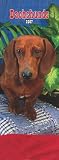 Dachshunds 2007 Slimline Calendar