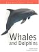 Whales and Dolphins (Nature Factfile)