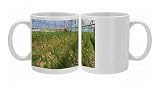 Photo Mugs of Tomatoes in large commercial greenhouse, near Kursunlu, near Antalya, Anatolia, from Robert Harding