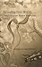 Book Revealing New Worlds: Three Victorian Women Naturalists (Women in Science)