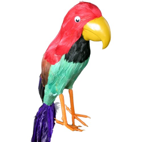 Parrot, Pirate