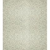 12x18 60G Sandpaper by Rustoleum