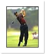 Tiger Woods PGA Golf Double Matted 8x10 Photograph Swinging Driver