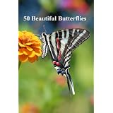 50 Beautiful Butterflies