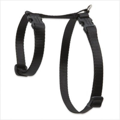 Solid Color 1/2″ Adjustable H-Style Cat Harness Size: Large (12″ – 20″), Color: Blue