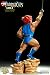Thundercats Lion-O Polystone Statue_s-3