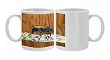 Photo Mugs of KEL-809 Tarantula Hawk Wasp from Ardea Wildlife Pets