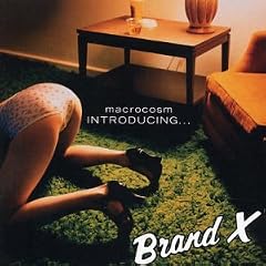 Introducing...Brand X: Macrocosm