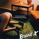 Introducing Brand X