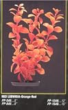 HAGEN VIBRASCAPER RED LUDWIGIA 8 inch