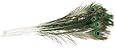 Zucker Feather Products Natural Peacock Eye, Natural, 12-Pack