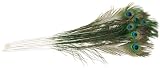 Peacock Eye Feathers - 12PK/Natural