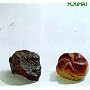 Foghat (Rock and Roll)