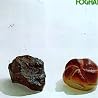 Image of album by Foghat