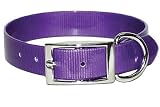 Sunglo Regular Collar 1 in. Wide - Purple - 21 in.