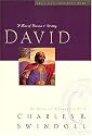 David: A Man of Passion & Destiny (Great Lives from God's Word Series: Volume 1)