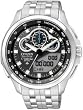 Citizen #JW0090-53E Men's Eco Drive Stainless Steel Promaster SST Watch