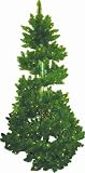 Sterling Green Bubble Christmas Tree