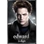 (24x36) Twilight Movie (Edward) Poster Print
