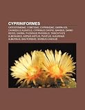 Cypriniformes: Catostomidae, Cobitidae, Cyprinidae, Carpa Koi, Carassius Auratus, Cyprinus Carpio, Barbus, Danio Rerio, Garra