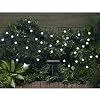 Smart Solar 3732WR30 Solar Light String, 30 White LEDs with Crystal Ball Covers
