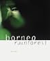 Borneo Rainforest