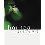 Borneo Rainforest