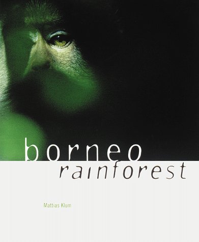 borneo rainforest