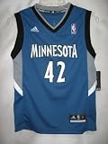 Kevin Love Minnesota