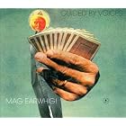 Click here to buy Mag Earwhig! by  Guided Voices .