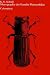 Monographie der Familie Platypodidae (Coleoptera) Image
