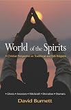 World of the spirits : a Christian perspective on traditional and folk religions