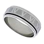 Surgical Steel Spinner Ring with Concaved Satined Center