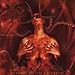 Dark Funeral, Diabolis Interium (Ogv) [12 inch Analog], 発売中