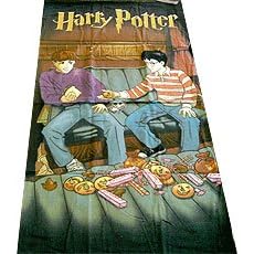 Harry Potter & Ron - Kids Throw Blanket / Pool Bath Towel