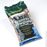 Barenbrug #135973 Green Thumb LB Bluegrass Seed