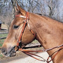 Tory Premium Leather German Martingale Dark Oil