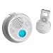 Oregon Scientific IB368 iBall Wireless iPod Speaker with Transmitter Dock