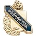 Lapel Pins (10-Pack): Scholastic Award Pin - Journalism