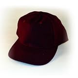 TSG Old School Solid Wool Hat - Burgundy