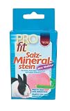 TRIXIE 6001 Salzmineralstein PRO fit