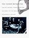 Image: Shopper's Delight: Extraterrestrial & Meteorites in The Books Store ~ The Tucson Meteorites: Their History From Frontier Arizona To The Smithsonian