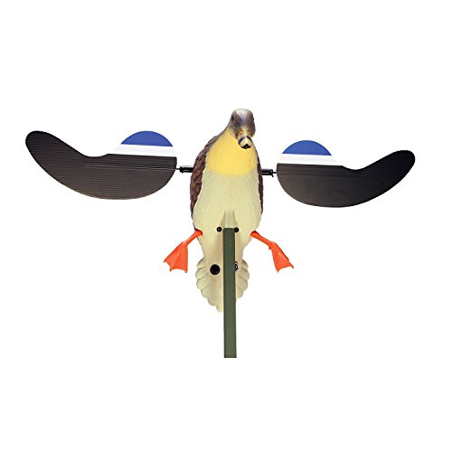 Mojo Outdoors Baby Mojo Hen