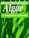 Price Comparison : Algae: An Introduction to Phycology