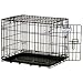Pet Supplies : Precision Pet ProValu Single Door Black Metal Wire Dog Crate- 24" length x 18" width x 19" height size 2000 model