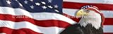 ClearVue Graphics Window Graphic - 16x54 US Flag 1 with Eagle & Bandana PAT-005-16-54