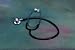 >Invacare  Dual-head Stethoscopes_Invacare  Supply Group