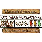 Cats Worshipped Funny Adult T-Shirt
