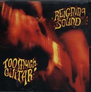 Cover of "Too Much Guitar" Cover of "Too Much Guitar"