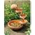 Solar powered cascade in terracotta and mosaic trim